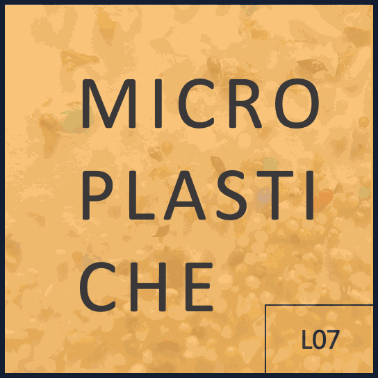 Risorse e servizi – L07 – Microplastiche