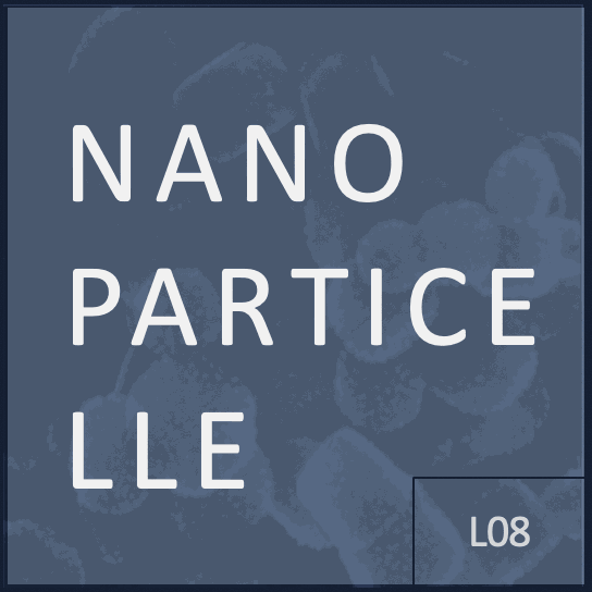 Risorse e servizi – L08 – nanoparticelle