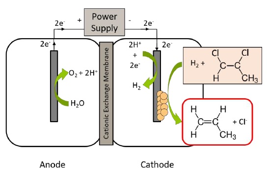 Workshop online su “Degradation of organohalogenated pollutants by the combined application of electrochemical methods and organohalide-respiring bacteria”.