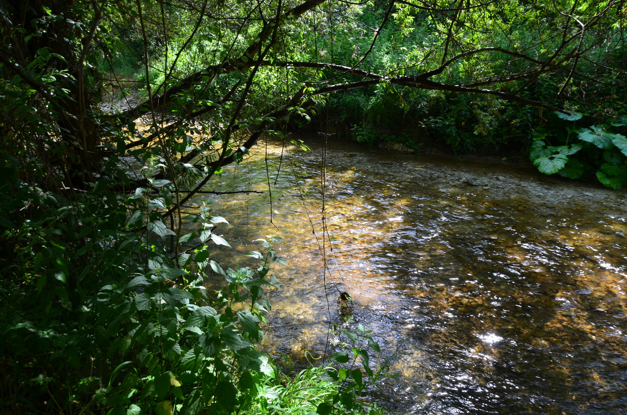 LA NOTTE DELLA RICERCA 2021: IL TREKKING SCIENTIFICO “IL FIUME FARFA IN SABINA – ALLA SCOPERTA DELL’IDROGEOLOGIA E DELL’ECOLOGIA FLUVIALE”.