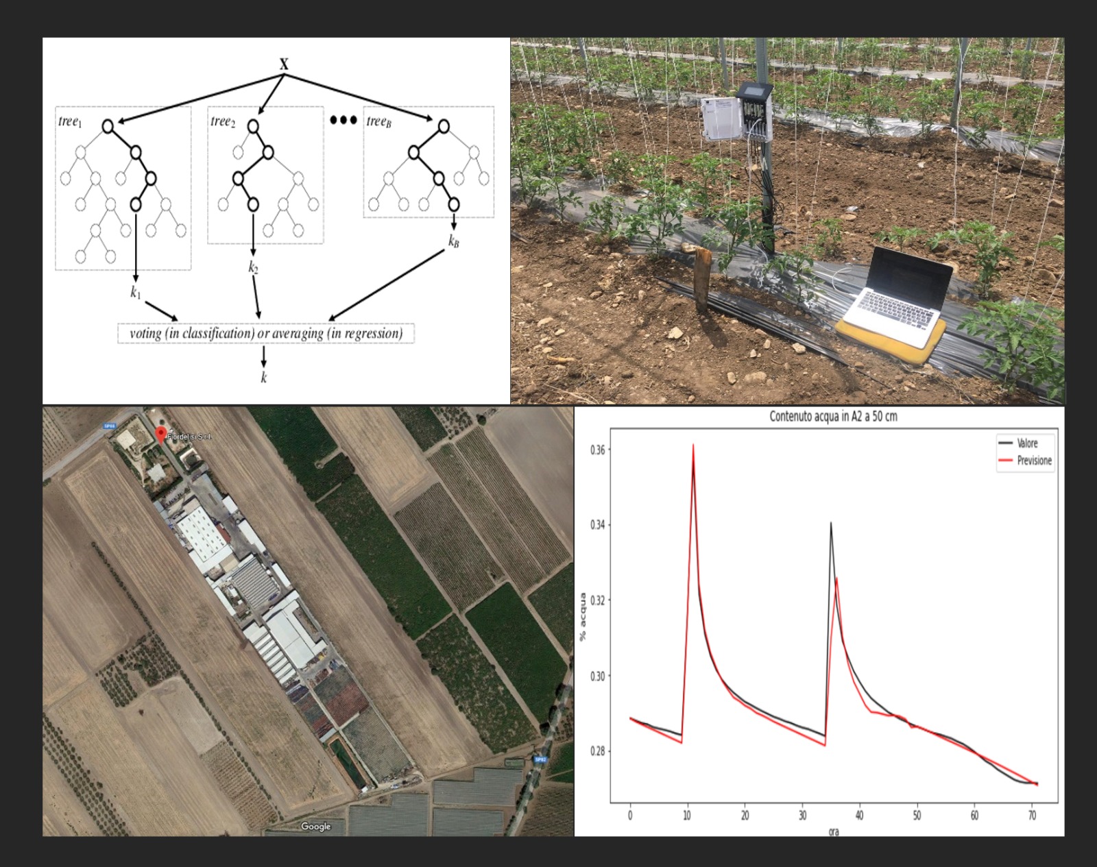 Seminario CNR-IRSA online su: “Introduzione al Machine Learning e applicazioni ad un problema di irrigazione”.