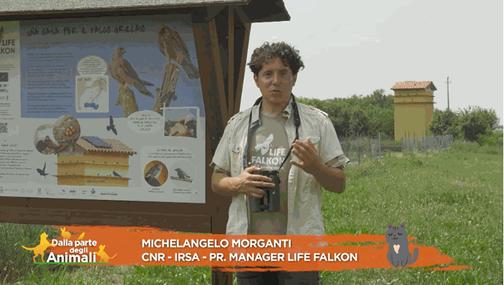 Il CNR-IRSA e il progetto LIFE FALKON a Rete 4.