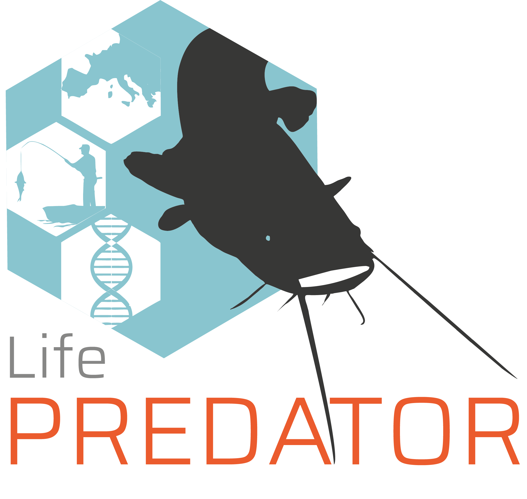 Il progetto LIFE Predator: “Prevent, Detect, Combat the Spread of Silurus glanis in Mediterranean lakes to protect biodiversity”.