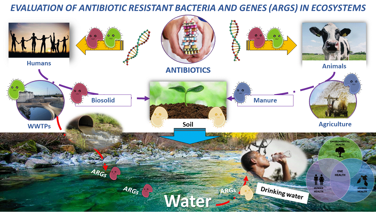 Settimana mondiale per l’uso prudente degli antibiotici: il contributo del CNR-IRSA in campo ambientale.