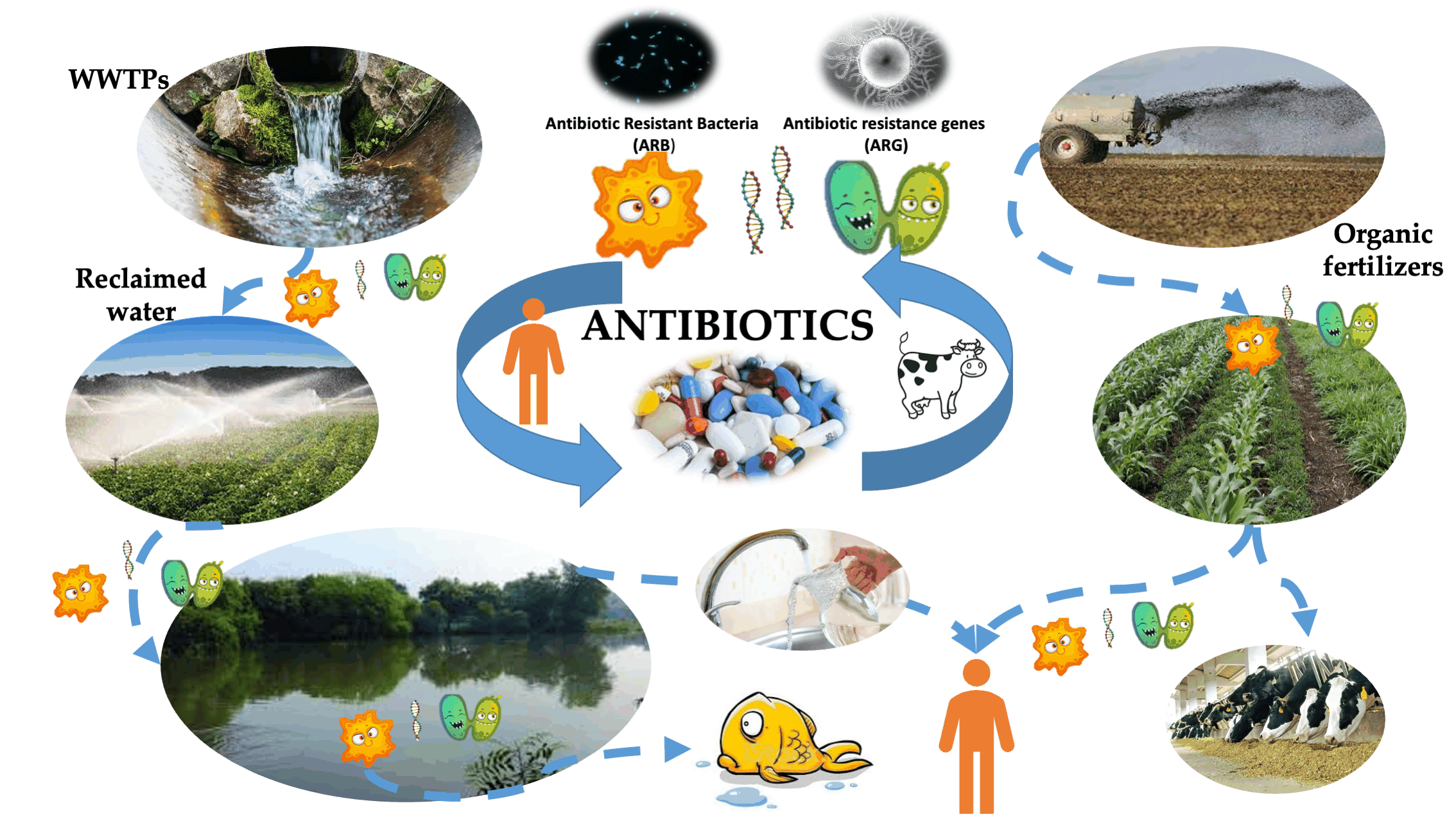 CNR-IRSA Guest Editor dello Special Issue: “Environmental Fate and Effects of Antibiotics and Antibiotic Resistance Genes” 2nd Edition